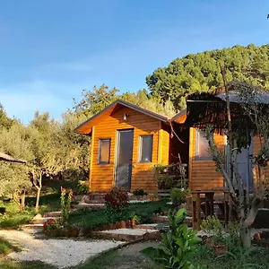 Landhuis Bujtina Musta, Berat